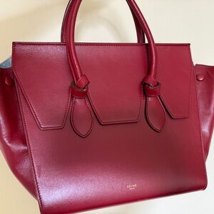 RARE color Celine tie knot palmetto Bag